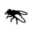 Keiner Fliege icon