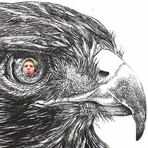 HawkSounds app icon