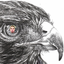 HawkSounds icon