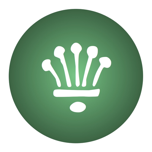 Runes - Elvish Translator app icon