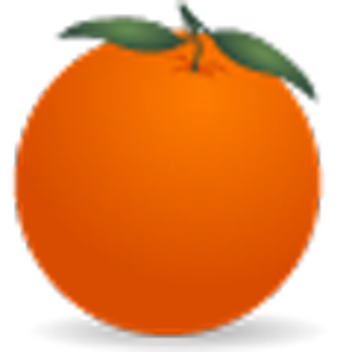 BlackBox FMS app icon