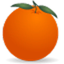BlackBox FMS icon