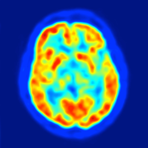 Neurosurgery: What's the data? app icon