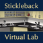 Stickleback Evolution Lab icon