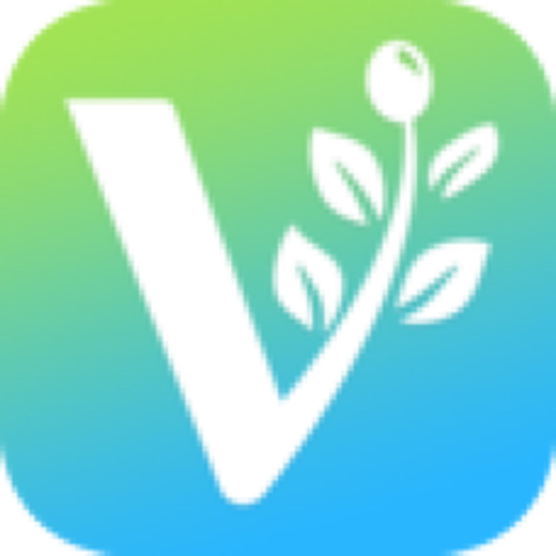 VFI News - Vision for Israel app icon