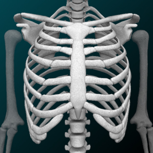 Bones 3D (Anatomy) app icon