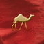 Travel the Silk Road icon
