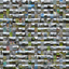 Paged Photo Frame icon