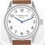 WatchProSite icon