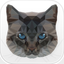 Frankie by Creativecrap icon