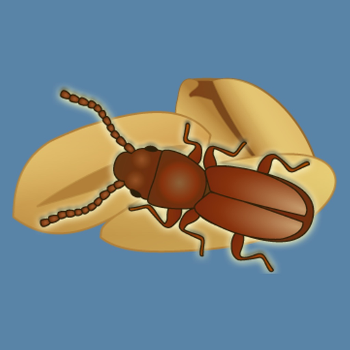 Insects in Stored Grain app icon
