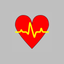 Nasiff CardioCard Mobile icon