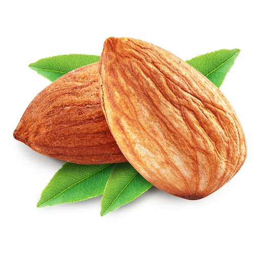 Protein-Check: Discover Top High Protein Rich Foods List for the best Power Diet app icon