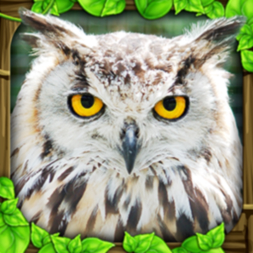 Owl Simulator app icon