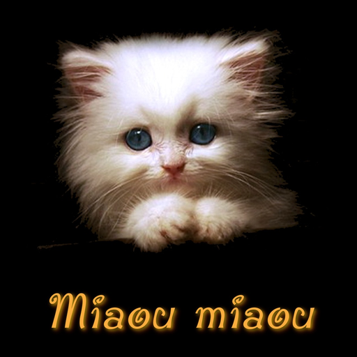 Miaou Miaou: Animal Discovery app icon