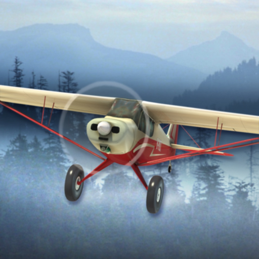 Airplane Fly Bush Pilot app icon