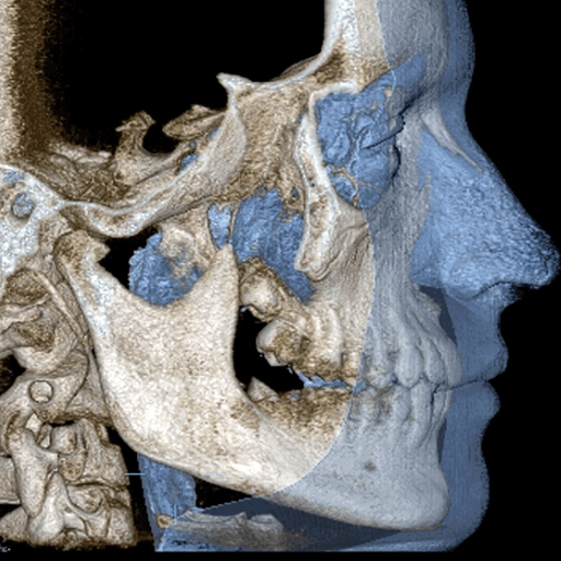 Scanatomy app icon