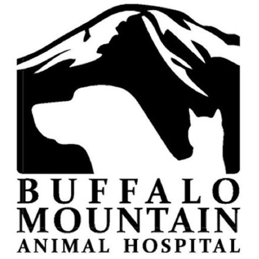 Buffalo Mtn Animal Hospital app icon