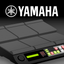 DTXM12 Touch - US icon