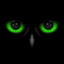 Night Eyes - Night Camera icon