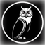 Night vision by sat icon