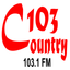 C103 Country icon