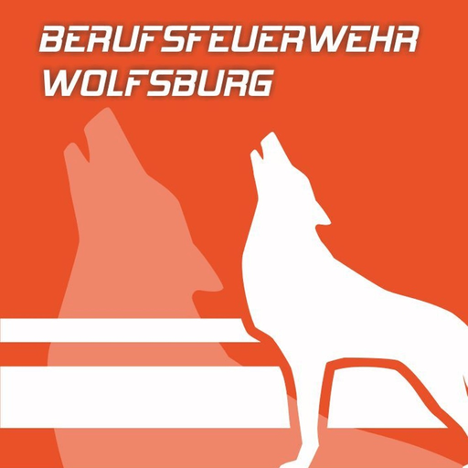 BF Wolfsburg app icon