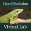 Lizard Evolution Virtual Lab icon