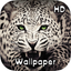 Animal Wild Wallpaper HD icon