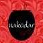 Nakodar Grill icon