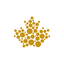 Royal Canadian Mint icon