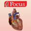 HEART -  Digital Anatomy icon