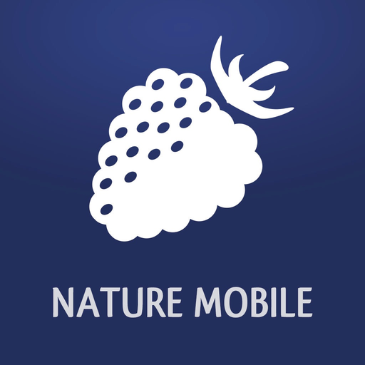 Früchte und Beeren PRO app icon