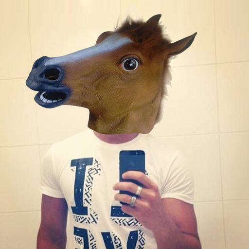 Animal Cam - Swap your face with the head of funny animals such as: cats, dogs, bears, pigs, wolfs, fish or birds from your camera app icon