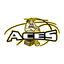 ACES Basketball icon