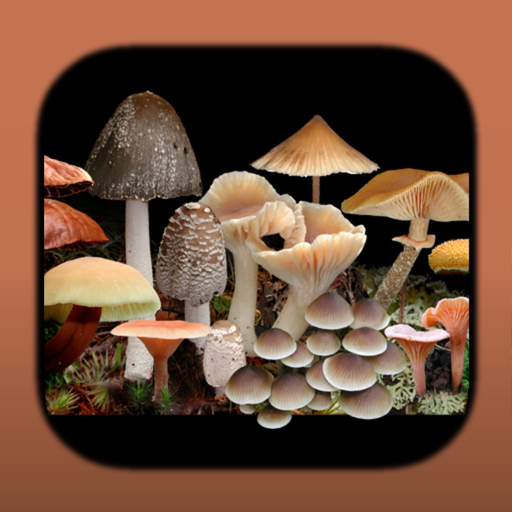 FunKey: Agarics of Australia app icon