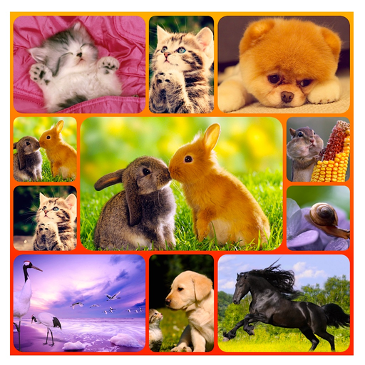 Poster Maker Pro - Collage app icon