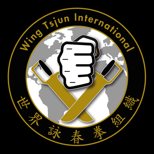 BDS Wing Tsjun International app icon