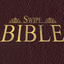 Swipe Bible – Modern English Parallel Bible icon