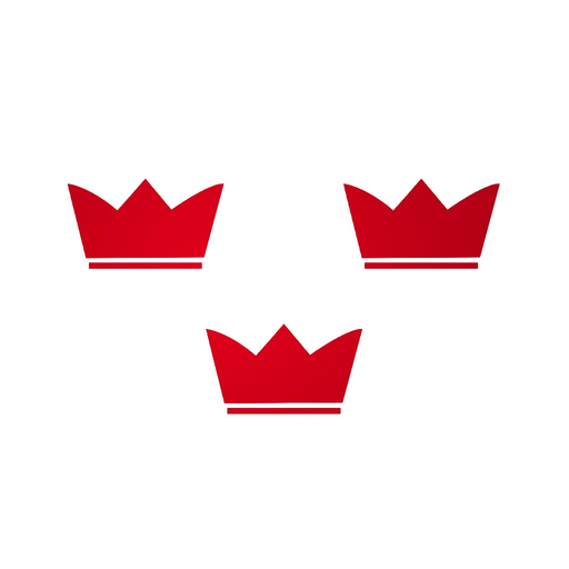 BGM Köln app icon
