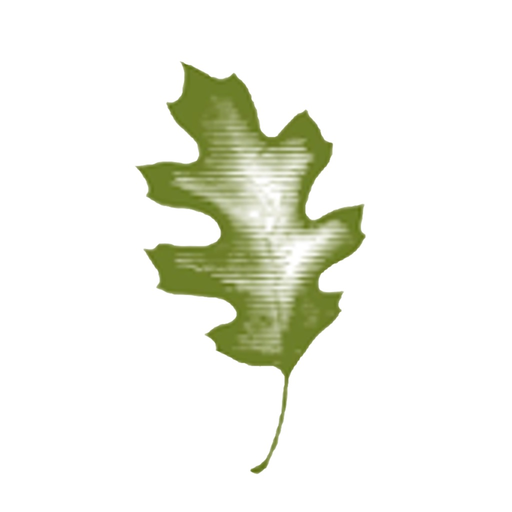 Southern Oak Insurance Mobile app icon