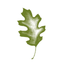 Southern Oak Insurance Mobile icon