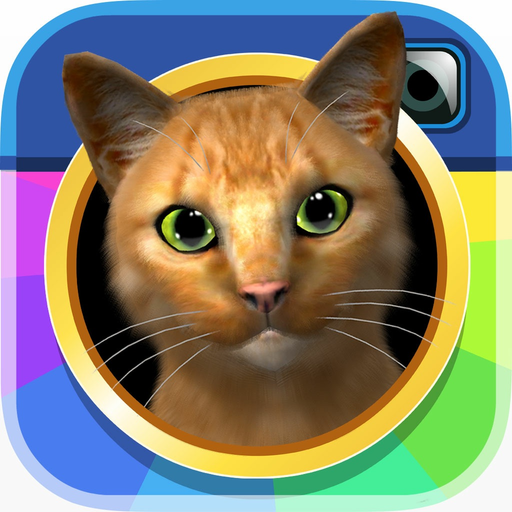 InstaKitty3D app icon