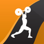 Wendler Log 531 icon
