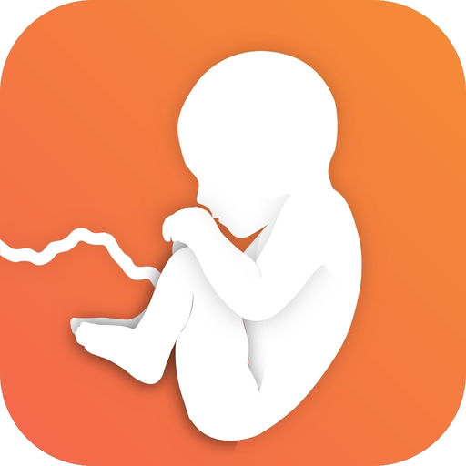 Pregnancy Mentor - Baby birth app icon