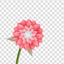 AI Background Eraser ! icon