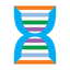 Phylo DNA Puzzle icon