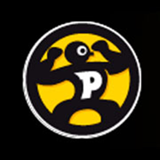 Paidesport app icon