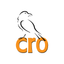 CRO For Drivers icon