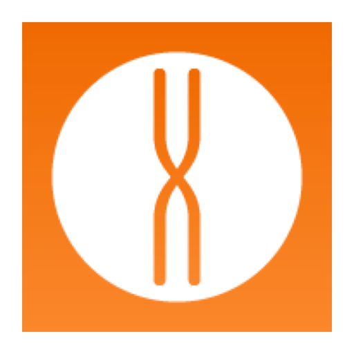 Xkey Piano app icon